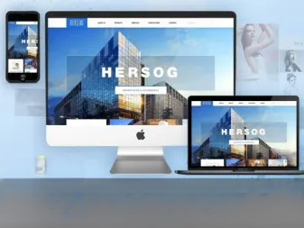 企业网站建设/网站定制开发/高端设计